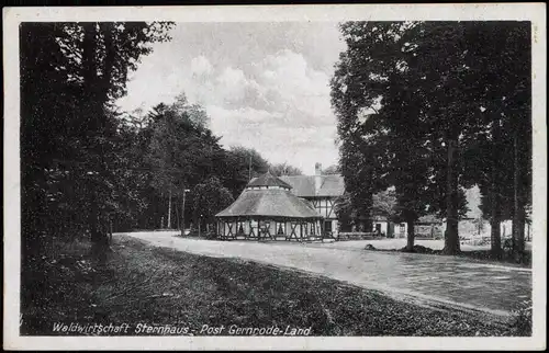 Ansichtskarte Gernrode-Quedlinburg Waldwirtschaft Sternhaus 1952