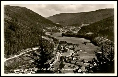 Ansichtskarte Calmbach-Bad Wildbad Stadtblick 1956