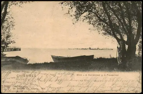 Ansichtskarte Chiemsee Blick auf Herrenchiemsee, Mann Boot 1907