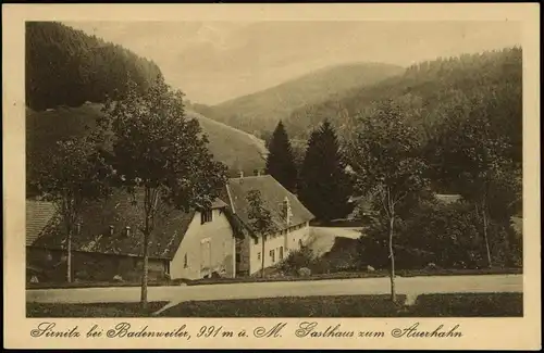 Ansichtskarte Sirnitz-Müllheim (Baden) Stadtpartie 1922