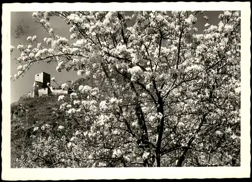 Cartoline Terlan Terlano TERLAN Partie a.d. Ruine Maultasch Castel 1958