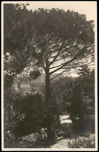 Cartoline Rom Roma Il Colosseo dal Palatino 1920