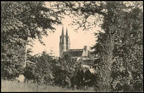 Ansichtskarte Oschatz Stadtteilansicht Durchblick Stadtpark und Kirche 1915