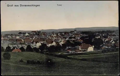 Ansichtskarte Donaueschingen Totale - colorierte AK 1912