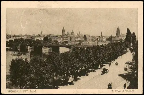 Frankfurt am Main Panorama-Ansicht Totalansicht Partie am Main 1918