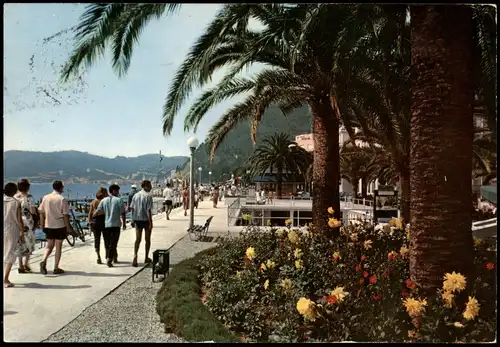 Cartoline Alassio Ortsansicht Lungomare fiorito Quai fleuri 1974