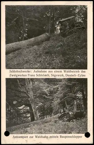 Postcard Deutsch Eylau Iława 2 Bild Schlobachwerke Waldbetrieb 1942