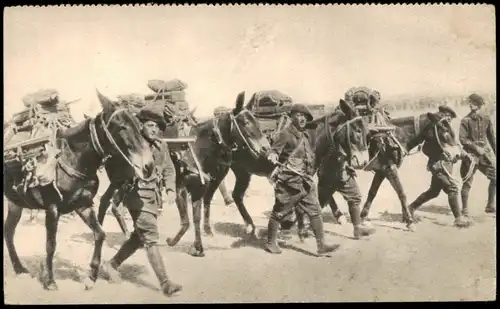 Militär/Propaganda - Soldatenleben Soldaten Wüste Frankreich 1932