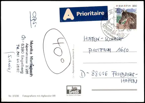 Ansichtskarte  Tiere (Allgemein) Schwein sollte man haben! 1990