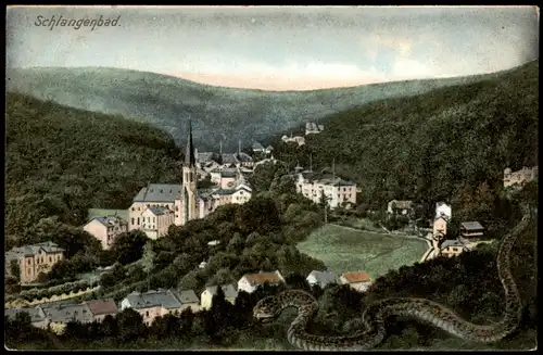 Ansichtskarte Schlangenbad Panorama-Ansicht 1910