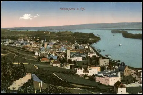 Ansichtskarte Rüdesheim (Rhein) Rhein Panorama-Ansicht 1915