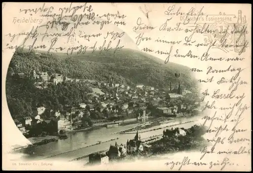 Ansichtskarte Heidelberg Panorama-Ansicht 1900   gel FFM Main (Ankunftsstempel)