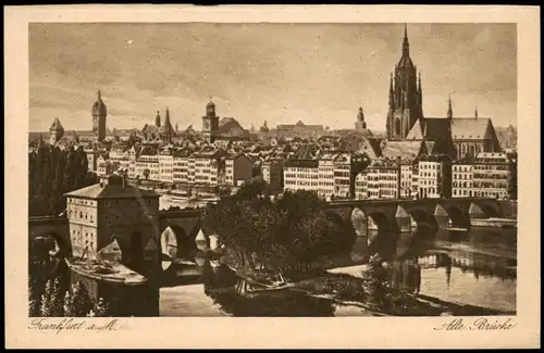 Ansichtskarte Frankfurt am Main Panorama-Ansicht Blick zur Alte Brücke 1920