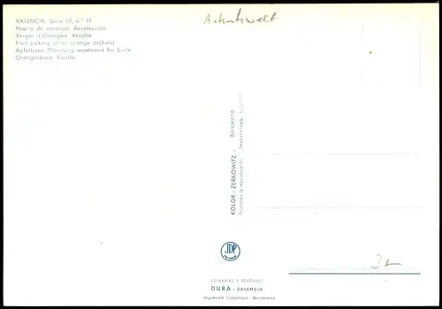 Postales Valencia València Huerto de naranjos. Recolección 1992