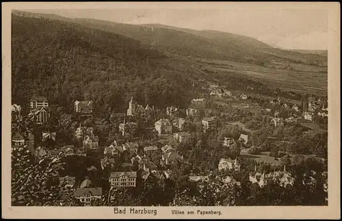 Ansichtskarte Bad Harzburg Villen am Papenberg 1922