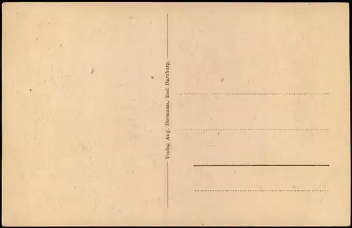 Ansichtskarte Bad Harzburg Villen am Papenberg 1922