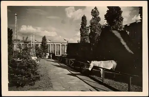 Ansichtskarte Charlottenburg-Berlin Ausstellungsgelände - Esel 1938