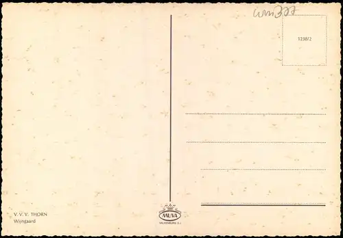 Postkaart Thorn Limburg Straße Wijngaard 1987