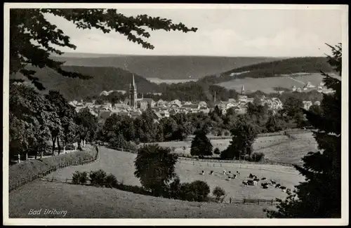 Ansichtskarte Bad Driburg Panorama-Ansicht 1938