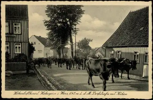 Ansichtskarte Hohegeiß-Braunlage Dorfstrasse mit Kühen 1940