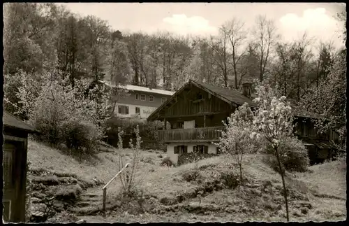 Ansichtskarte Grünwald (Oberbayern) Idyll in Grünwald Tiroler Alm 1959