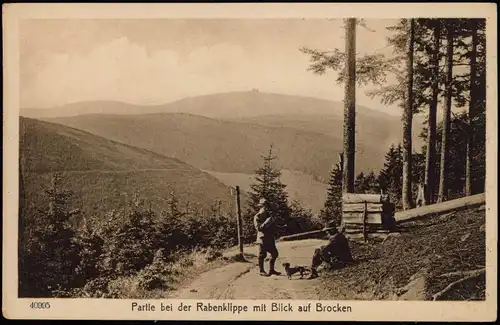 Ilsenburg (Harz) Partie bei der Rabenklippe mit Blick auf Brocken - Jäger 1913