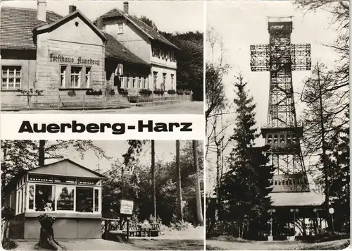 Ansichtskarte Stolberg (Harz) Gaststätte, Kiosk Auerberg, Josephskreuz 1980