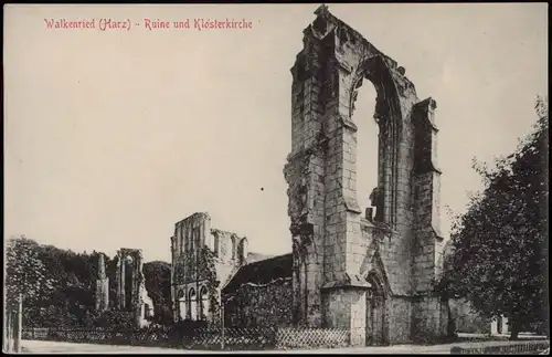 Ansichtskarte Walkenried (Harz) Kloster-Ruine 1907