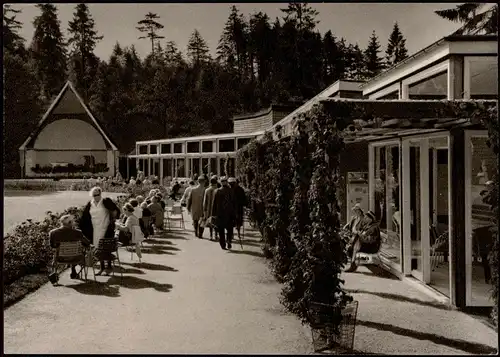 Ansichtskarte Braunlage Kurpark, Wandelhalle 1963