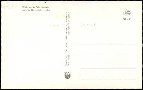 .Bayern Weidende Schafherde an der Hochrhönstraße - Colorfotokarte 1965