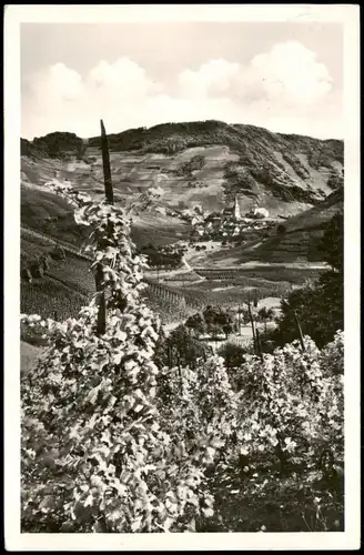 Ansichtskarte Mayschoß Umland-Ansicht AHRTAL Blick aus dem Weinberg 1950