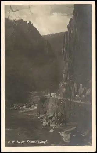 Ansichtskarte Thale (Harz) Umland-Ansicht Partie am Kronensumpf 1930