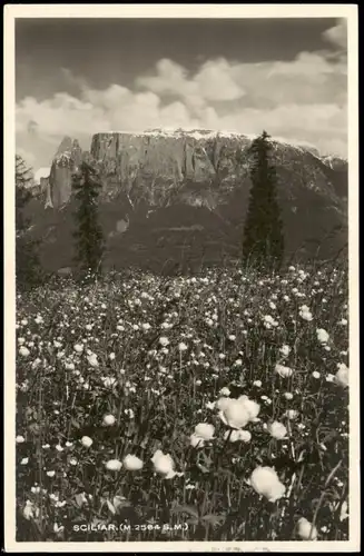 .Trentino-Südtirol Trentino-Südtirol SCILIAR (M.2564 S.M.) 1930