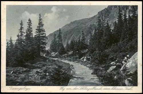 Krummhübel Karpacz Wag von der Schlingelbaude zum kleinen Trich 1927