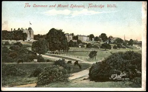 Postcard Royal Tunbridge Wells The Common and Mount Ephraim 1912