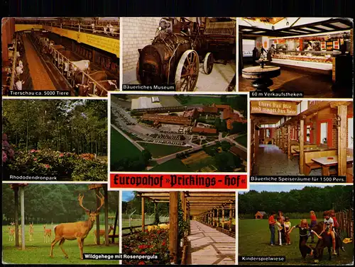 Ansichtskarte Sythen-Haltern am See Europahof Prickings - Hof, Mehrbild 1980