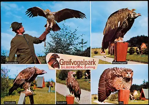 Ansichtskarte Silberborn-Holzminden Greifvogelpark - Mehrbild 1973
