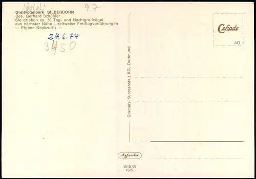 Ansichtskarte Silberborn-Holzminden Greifvogelpark - Mehrbild 1973