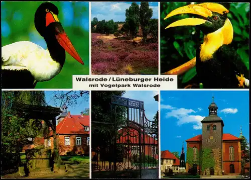 Ansichtskarte Walsrode mit Vogelpark Walsrode Mehrbild 1976