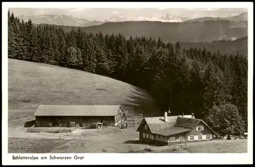 Ansichtskarte Isny Schletteralpe am Schwarzen Grat 1960