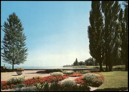 Ansichtskarte Kreuzlingen Panorama-Ansicht Seepark See Blick Park 1960