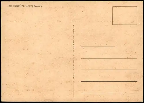 Ansichtskarte Kreuzlingen Panorama-Ansicht Seepark See Blick Park 1960