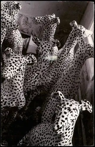 Ansichtskarte  Jack Hartigan Indianapolis Dalmations 2000