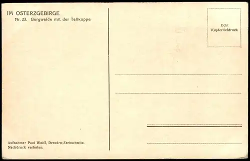 Kipsdorf-Altenberg (Erzgebirge) Bergweide mit der Tellkoppe - Kühe 1928