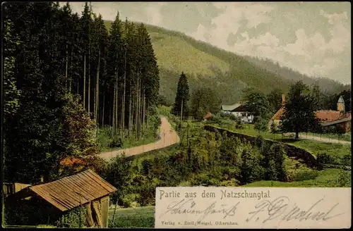 Ansichtskarte Olbernhau Natzschungtal Erzgebirge - Stadtpartie 1908
