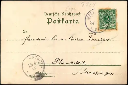 Titisee-Neustadt Feldberg und Feldbergerhof , Künstlerkarte Biese 1899