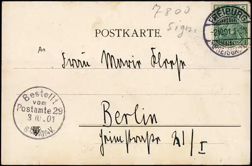 Freiburg im Breisgau Fischerau, Stadt-Teilansicht als Künstlerkarte 1901