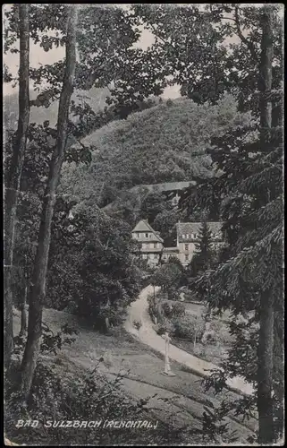 Ansichtskarte Renchtal BAD SULZBACH (RENCHTAL) 1906     (Bahnpoststempel)