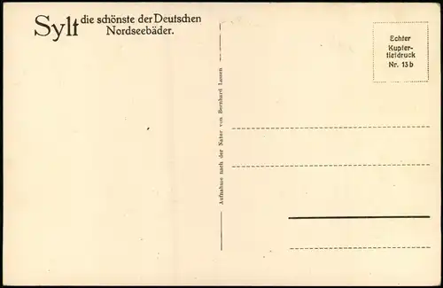 Ansichtskarte Insel Sylt Landschaftsmotiv. Düne u. Meer. 1928