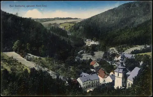 Bad Gottleuba-Berggießhübel Blick auf die Stadt - colorierte AK 1914